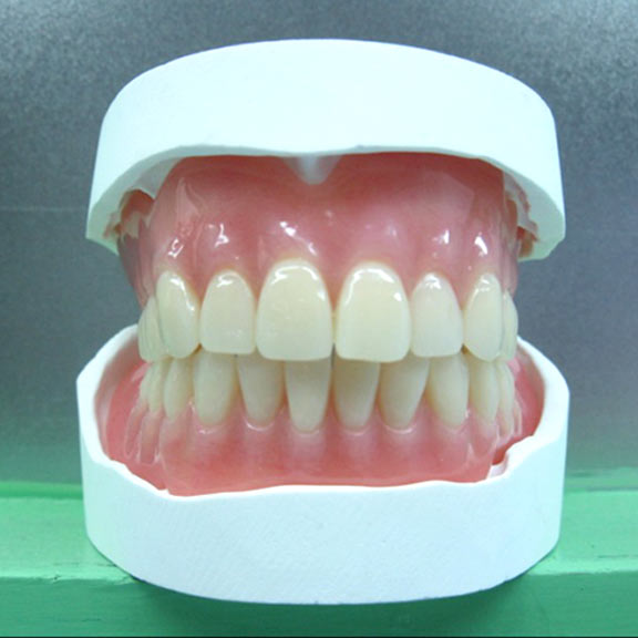 Dentures & Removables